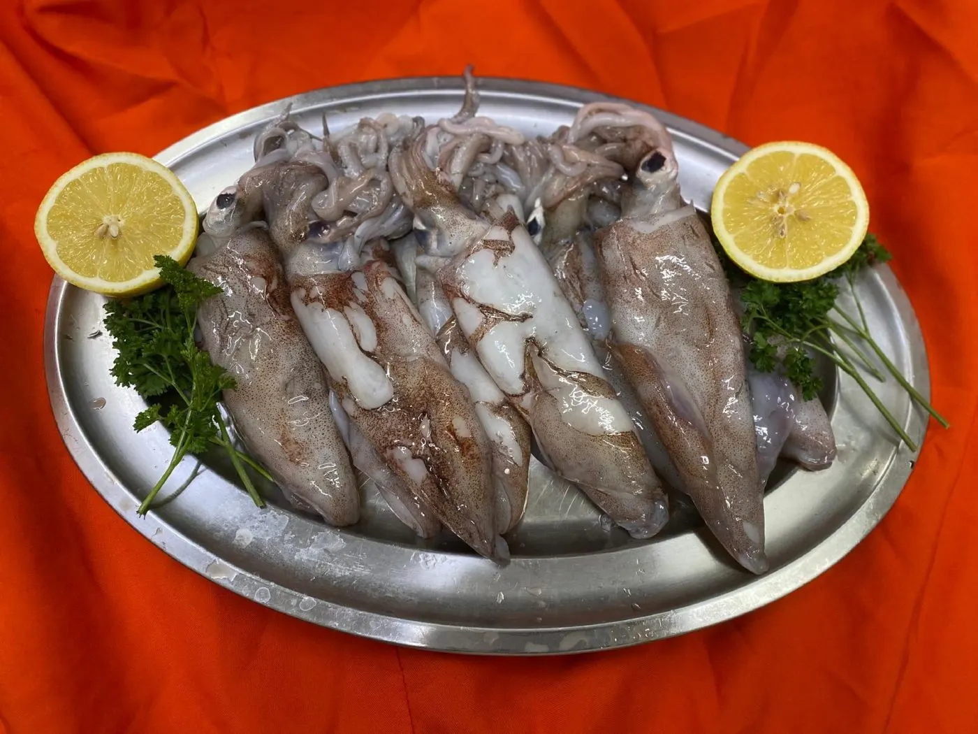 Fresh squid